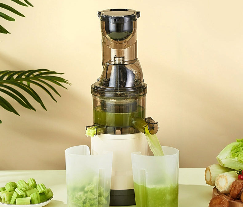 Rebune electric juicer machine