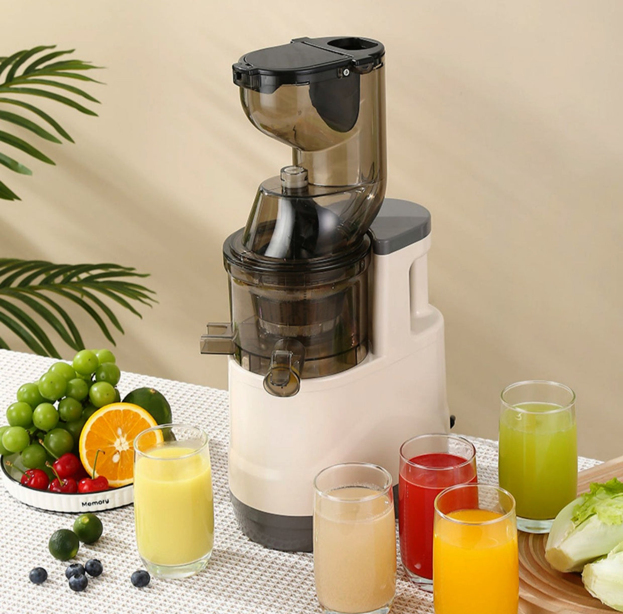 Rebune electric juicer machine